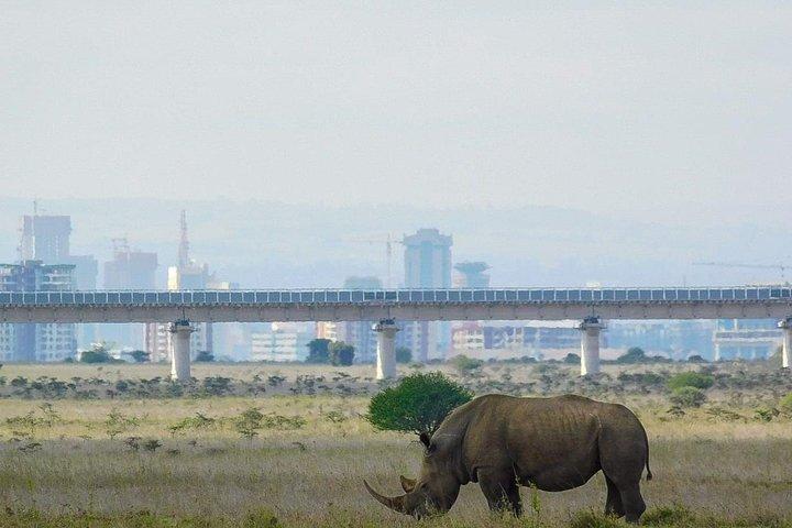 Nairobi National Park Guided Half Day Tour Game Drive- FREE WIFI