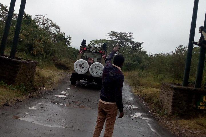 Day Trip to Arusha national Park