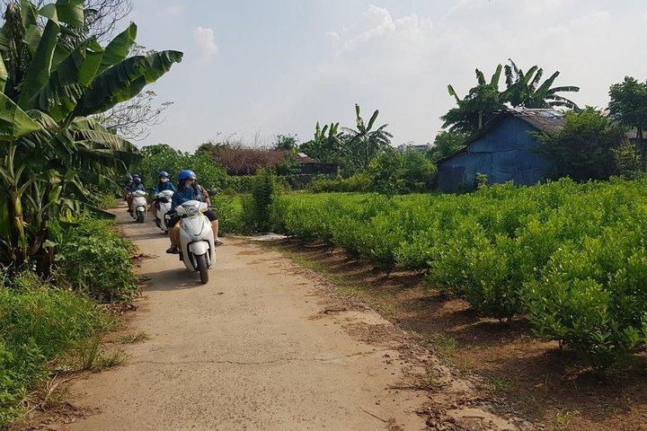 Hanoi City Sights & Red River Delta Tour by Scooter