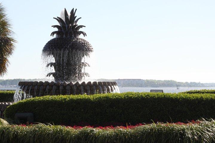 Gray Line Charleston City Sightseeing Bus Tour