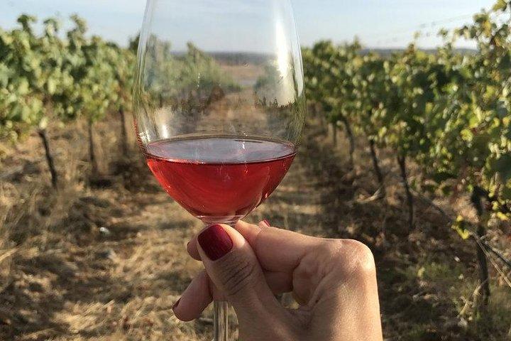 Private Wine Tour Alentejo