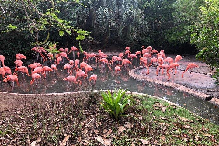Bermuda Aquarium and Crystal Caves Admission
