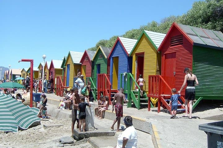 Cape Of Good Hope and Penguins viewing Private Tour
