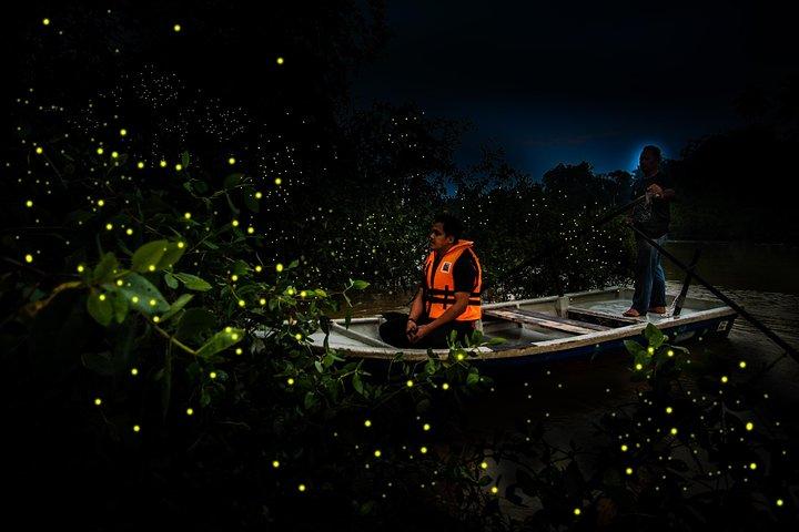 Kuala Selangor Fireflies Tour Include Seafood Dinner (Free Boat Ride)