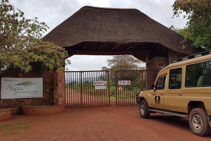 One-day Akagera National Park Game Drive with a Choice 4x4