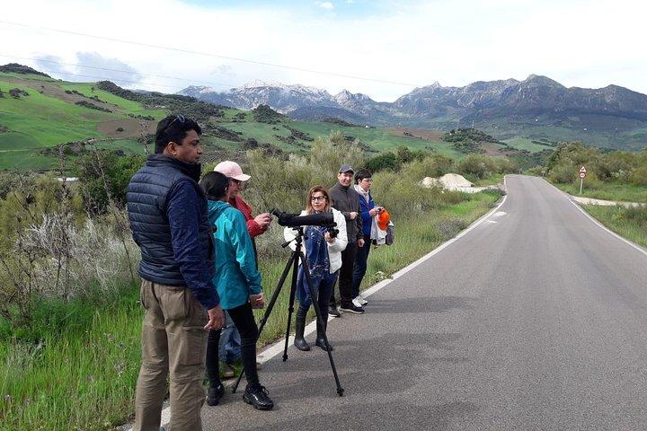 1 Day Excursion to White Villages and Ronda