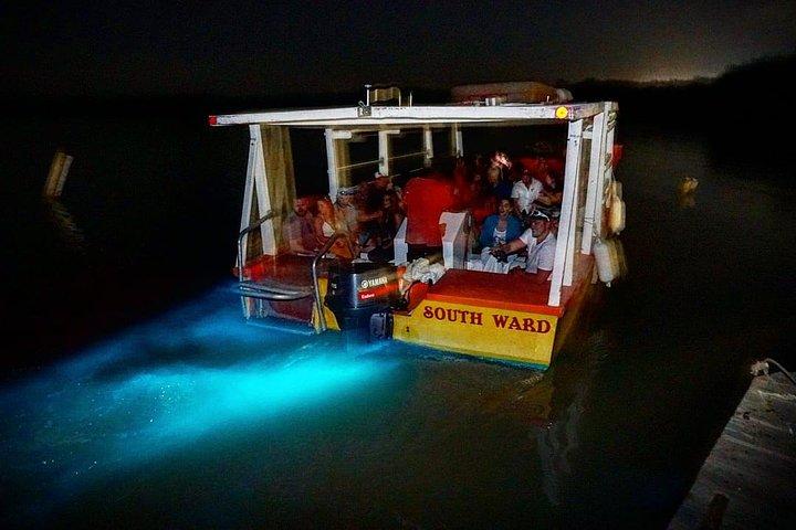 Dunn's River Falls & Luminous Lagoon Guided Tour from Montego Bay