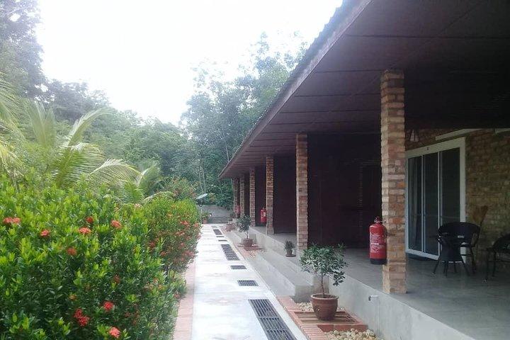 Private Transfer to Taman Negara from Kuala Lumpur