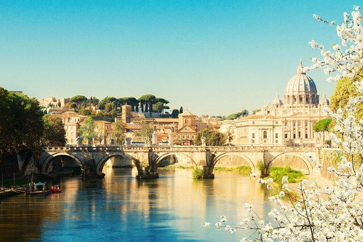 Meet Pope Leo XIV at St Peter Square Vatican City
