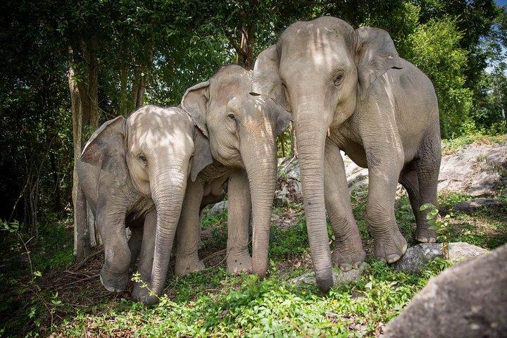 Koh Samui Sightseeing Tour Around The Island