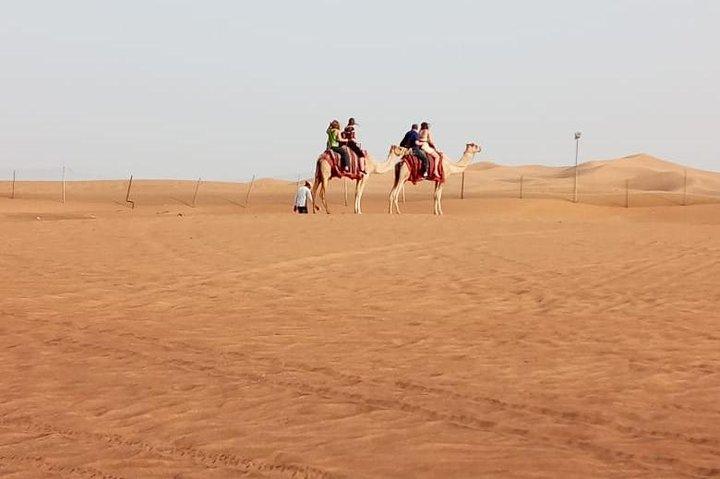 Private - Evening Desert Safari with Camel Ride, BBQ Dinner and Belly Dacne