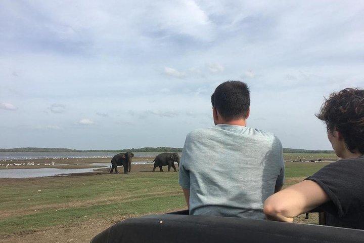 7-Day Highlights of Sri Lanka -Tour with Private Chauffeur