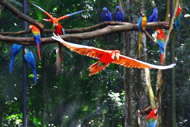 Temaiken Biopark Tour with Transfer Included