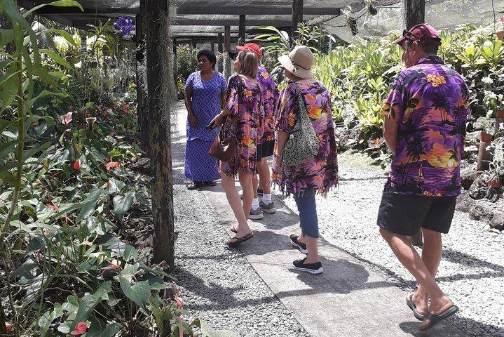 Nadi Sightseeing Include Viseisei Village, Market, Garden& Temple