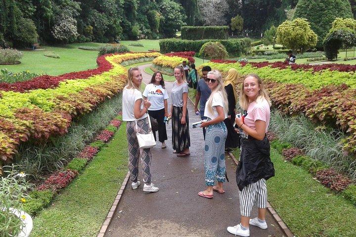 Kandy Day Trip from Colombo: Tea Factory- Peradeniya Botanical Gardens-Kandy