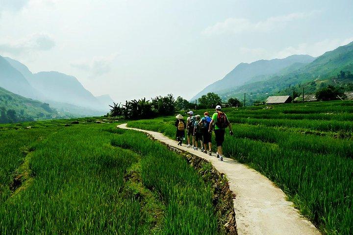 Rice Terraced Fields & Homestay Experience– 2D 1N