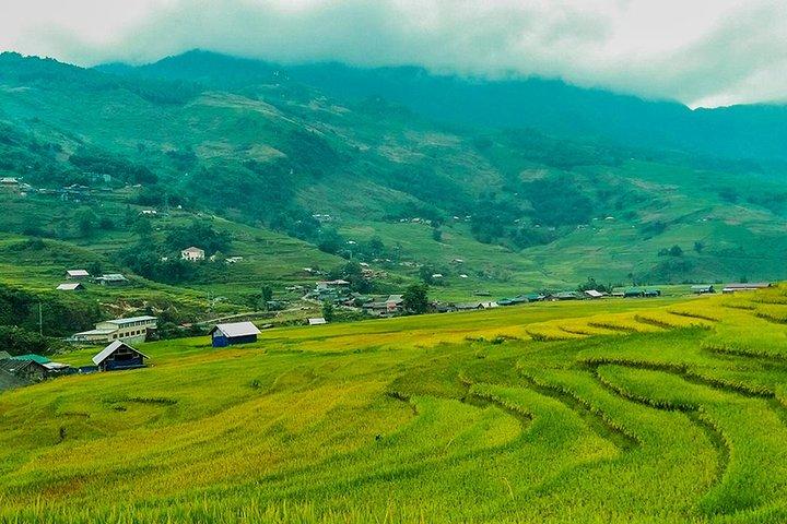 Rice Terraced Fields & Homestay Experience– 2D 1N