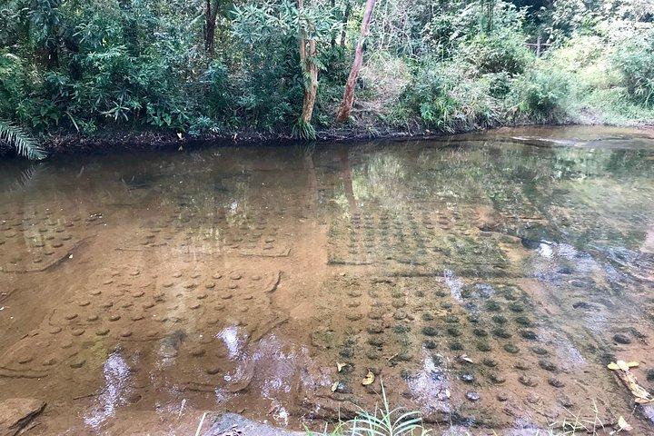 Phnom Kulen Tour: Waterfall, 1000 Lingas & Reclining Buddha