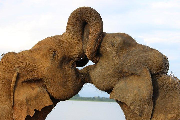 25 Days of Amazing Sri Lanka