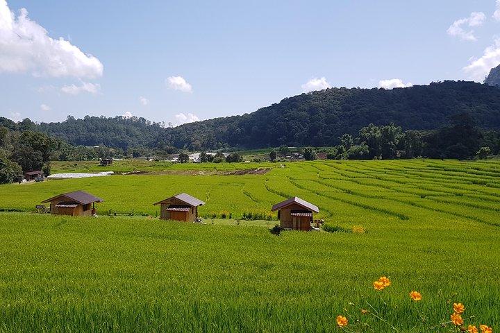 Chiang Mai: Fantastic Doi Inthanon National Park Tour & 2-Hr Trek
