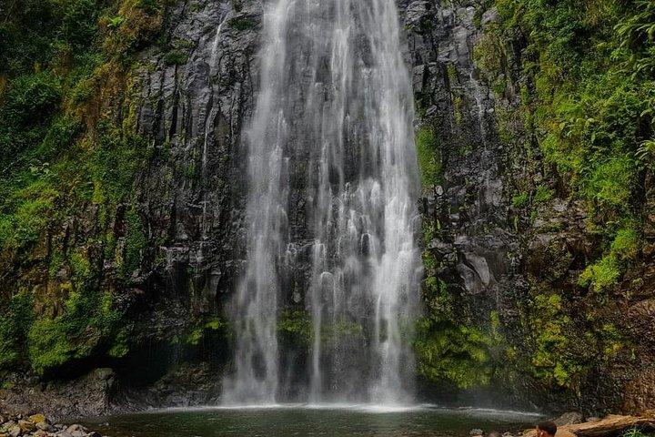 Materuni Waterfall and Coffee tour, Tanzania