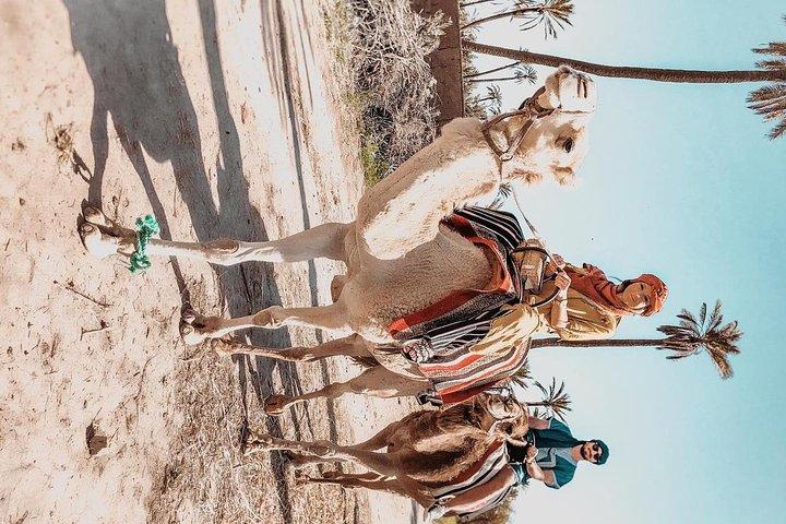 Marrakech camel ride tour