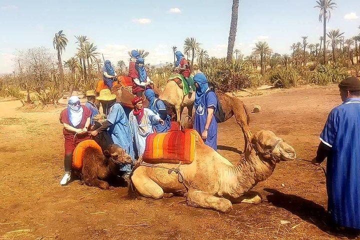 Marrakech camel ride tour