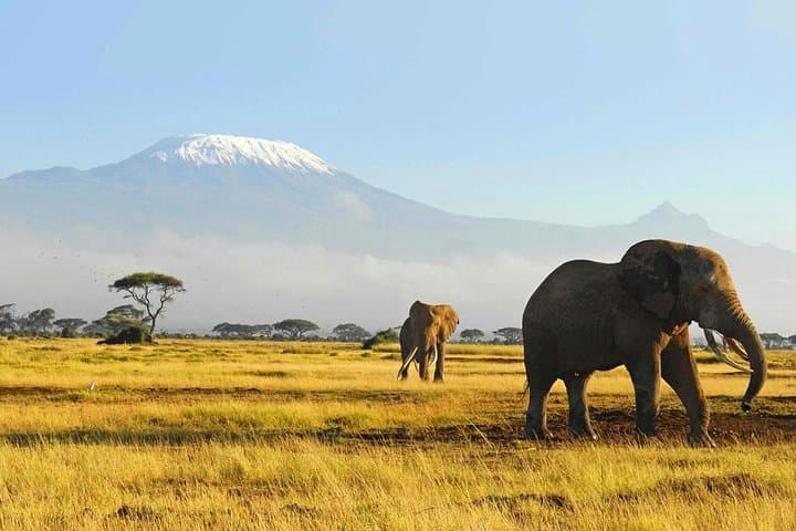 6 Days Masai Mara Wildebeest Migration Safari Holiday