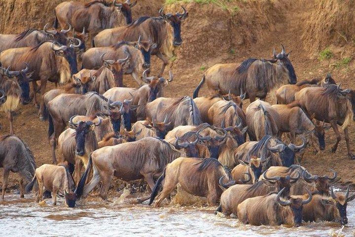 9 Days Africa Lodge Safari Holiday Package
