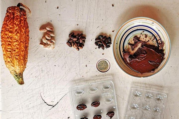 Chocolate Farm Private Tour in Medellin: Real Genuine Experience