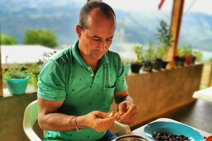 Chocolate Farm Private Tour in Medellin: Real Genuine Experience