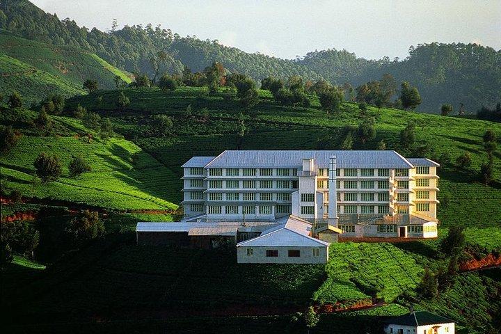 6 Day Round Tour in Sri Lanka With Chauffeur