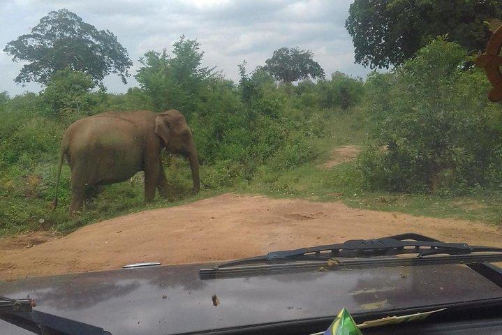 5 Day Private Tour Sri Lanka