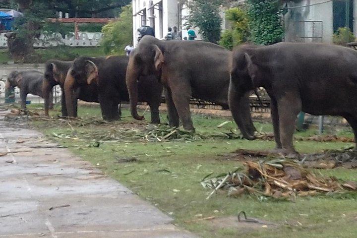 5 Day Private Tour Sri Lanka