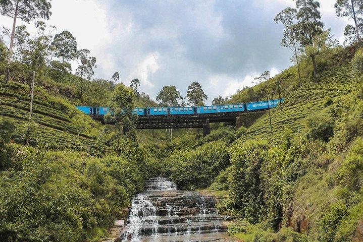 Scenic Train Ride Ella To Horton Plains National Park And Drop Nuwara Eliya