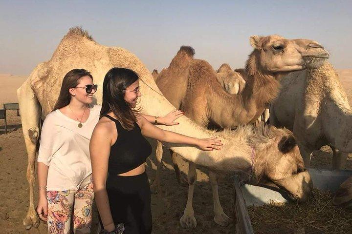 Private ATV / Quad Biking Tours in Abu Dhabi