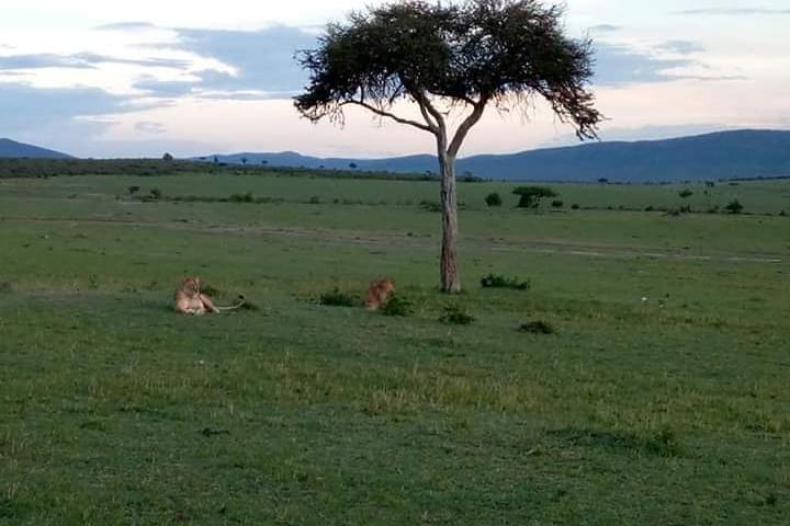 16 Days Kenya Tanzania Uganda Safari