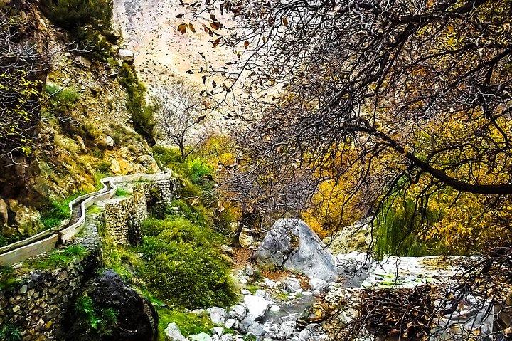 Valley & Garden