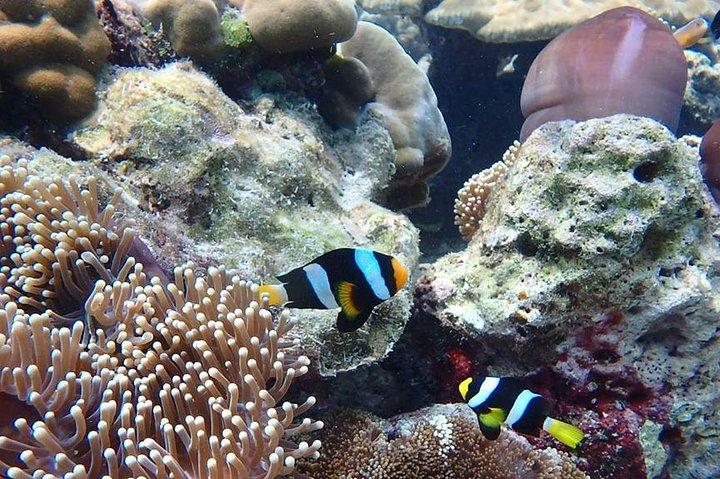 Koh Ngai, Koh Muk + Emerald Cave Snorkeling Tour by Classic Longtail Boat