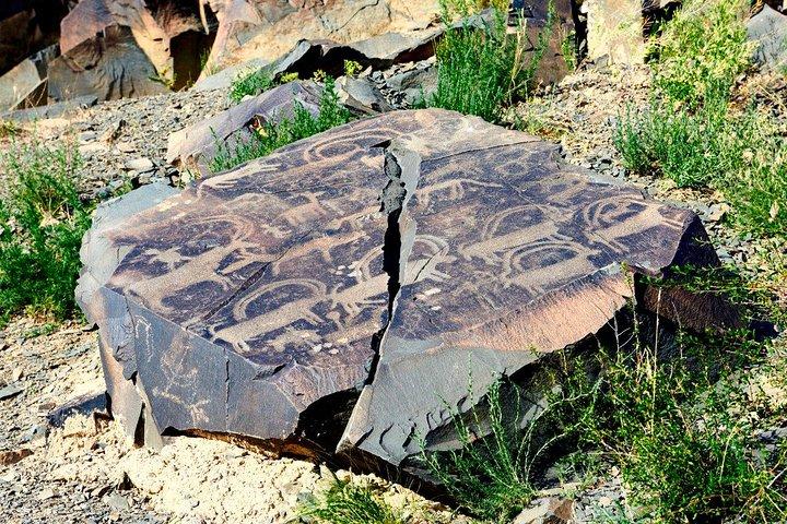 Day Trip to Tanbaly Petroglyphs