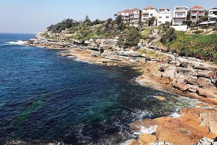 Sydney Icons & Bondi Half Day Private Tour