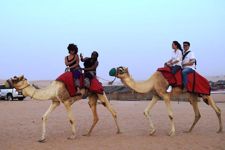 Abu Dhabi Evening Desert Safari with BBQ Dinner and all Camp Activities