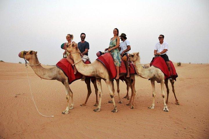 Abu Dhabi Morning Desert safari with Camel ride & Sand boarding