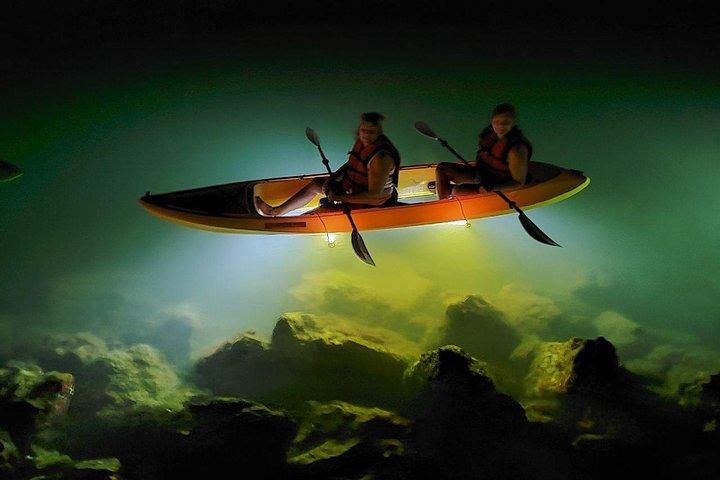 Sharkeys Glass Bottom Fish Feeding LED Night Tour St. Pete Beach