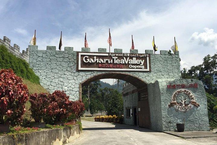 Ipoh City Tour from Kuala Lumpur