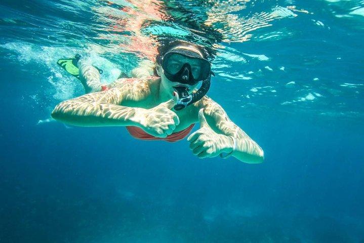 Full-Day Trip to Koh Tao and Koh Nang Yuan from Koh Samui by Speedboat