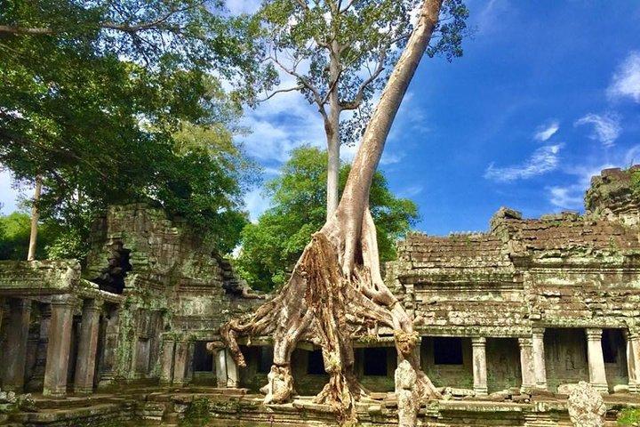 Personalized Angkor Wat Sunrise Guided Tour by TukTuk