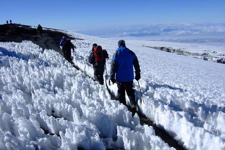 7 Days Mount Kilimanjaro Climb Lemosho Route