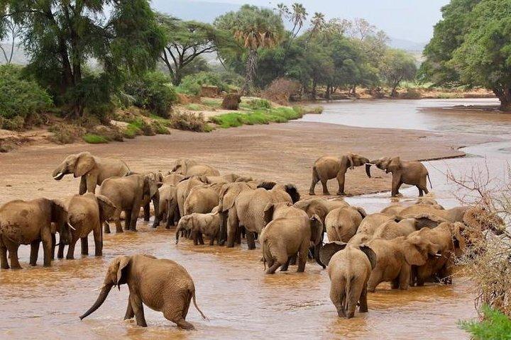8 Days Lake Turkana Safari Camping Adventure