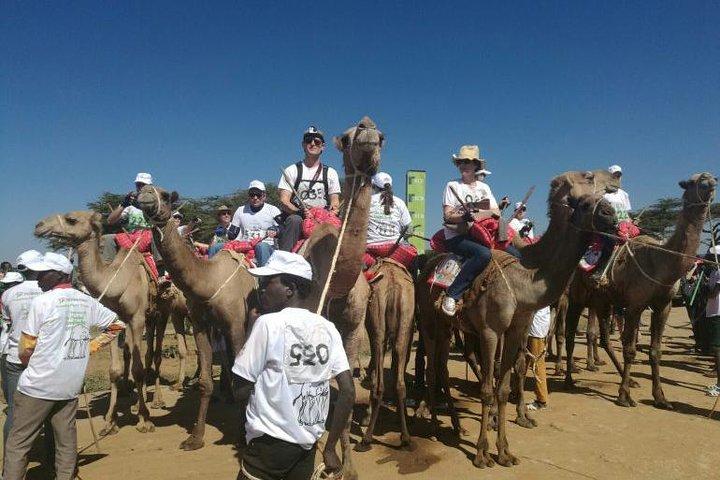 8 Days Lake Turkana Safari Camping Adventure